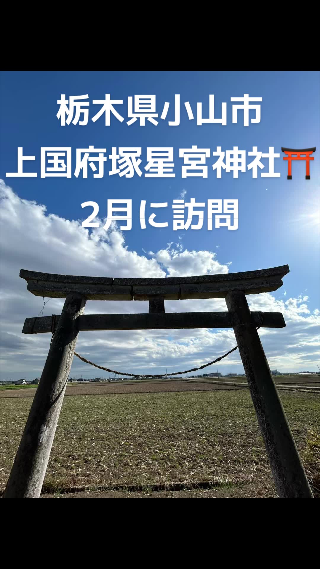 @♡さくらの♡