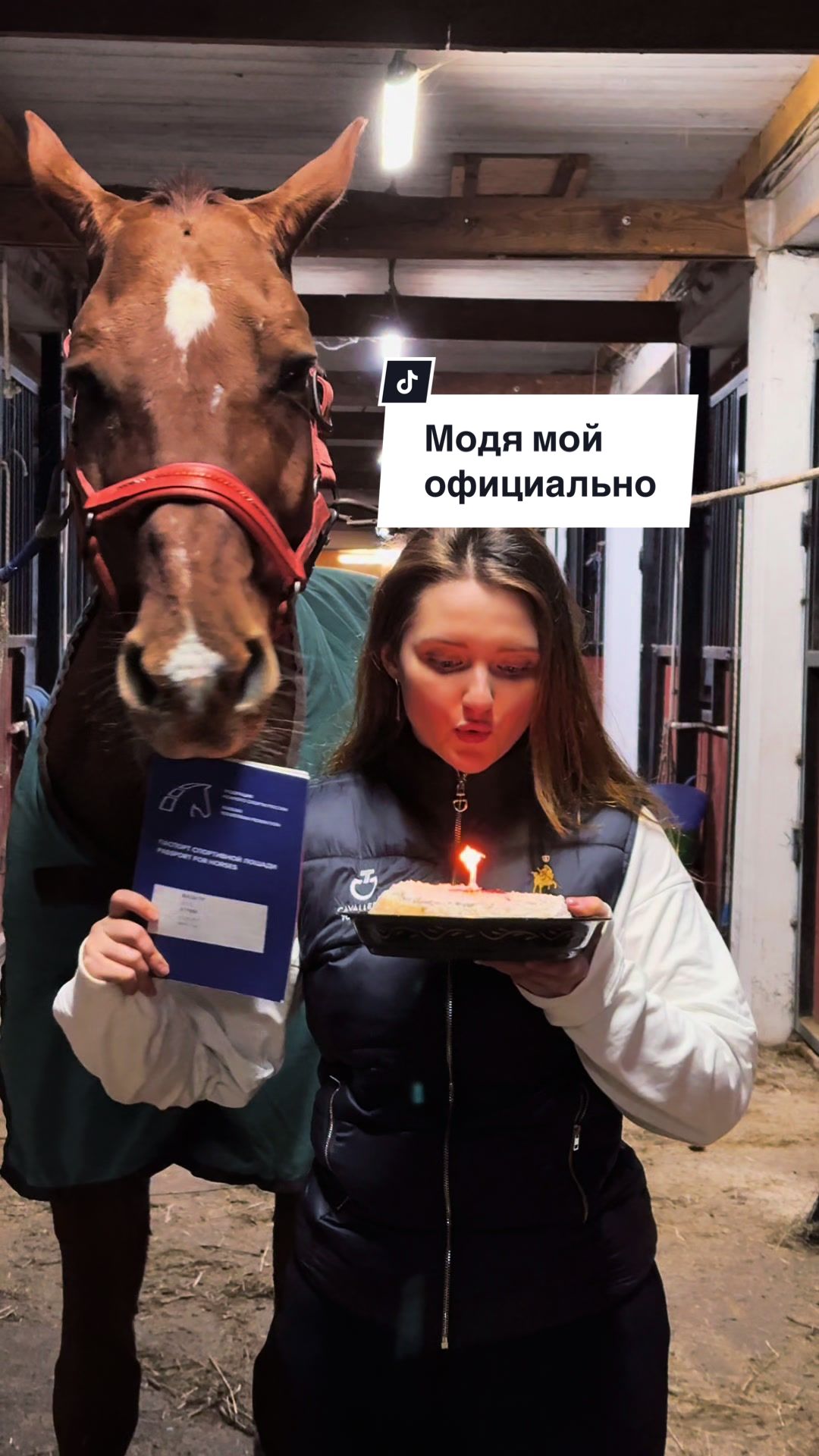 @Лошадница