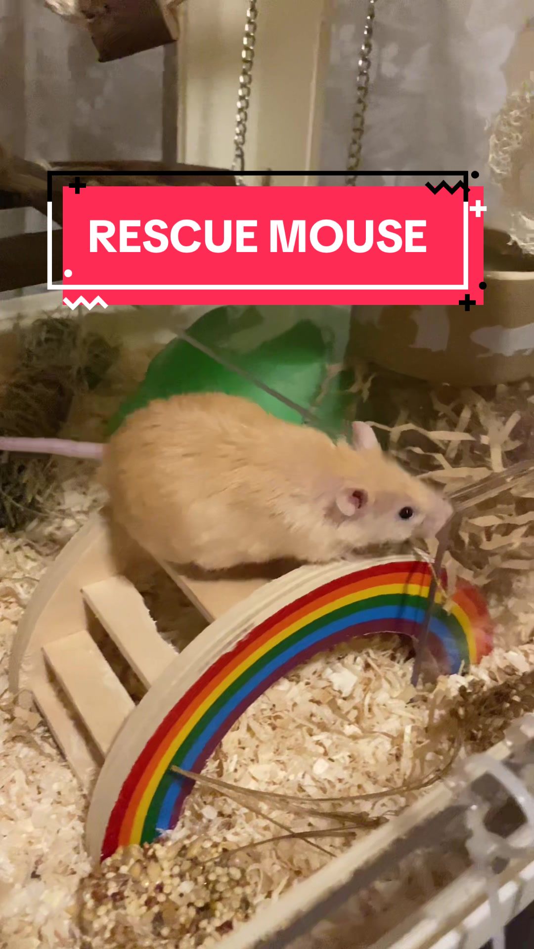 @ThatMouseGirl♡