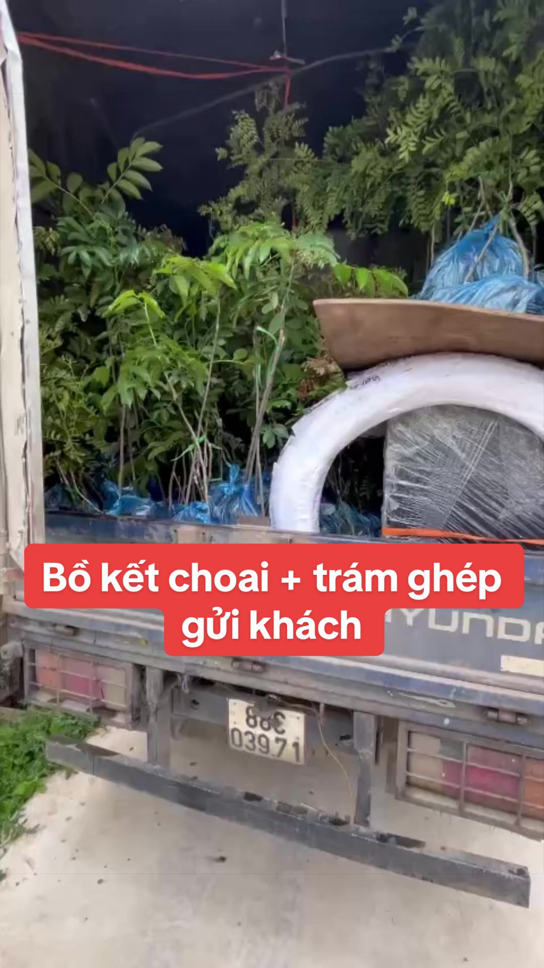@Nh&agrave; Vườn Vũ Mai