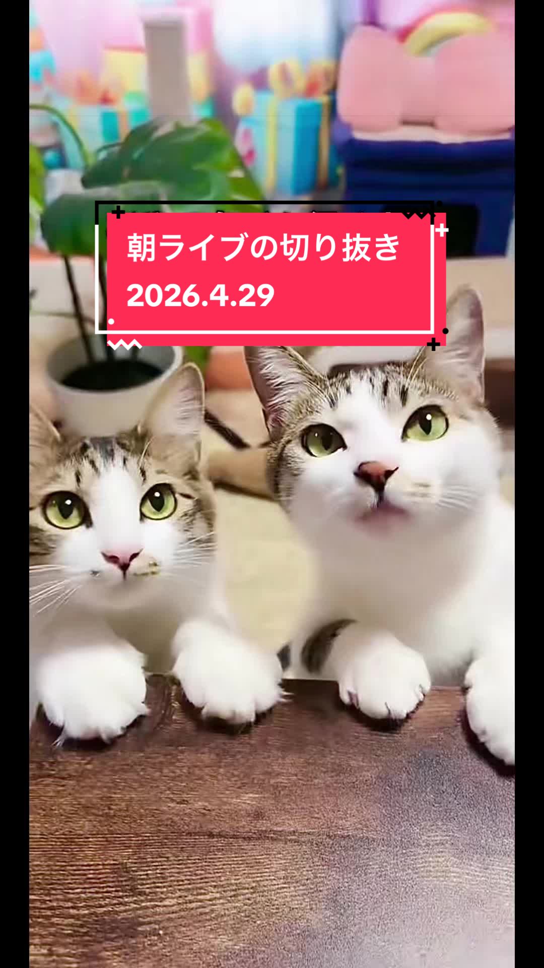 @👑ミキティ👑🙀🍜🙀🌿