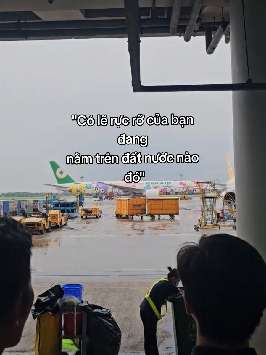 @Đồng Live Máy Bay ✈️