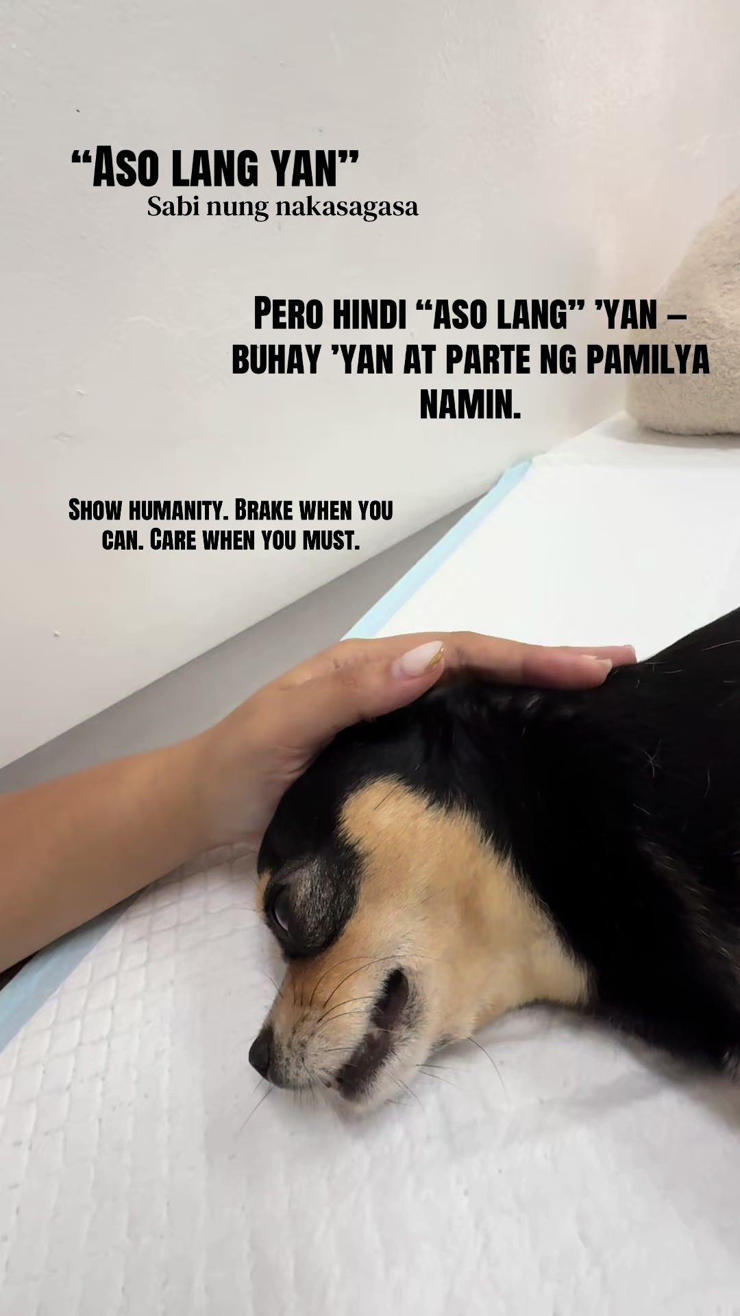@🤷🏻♀️