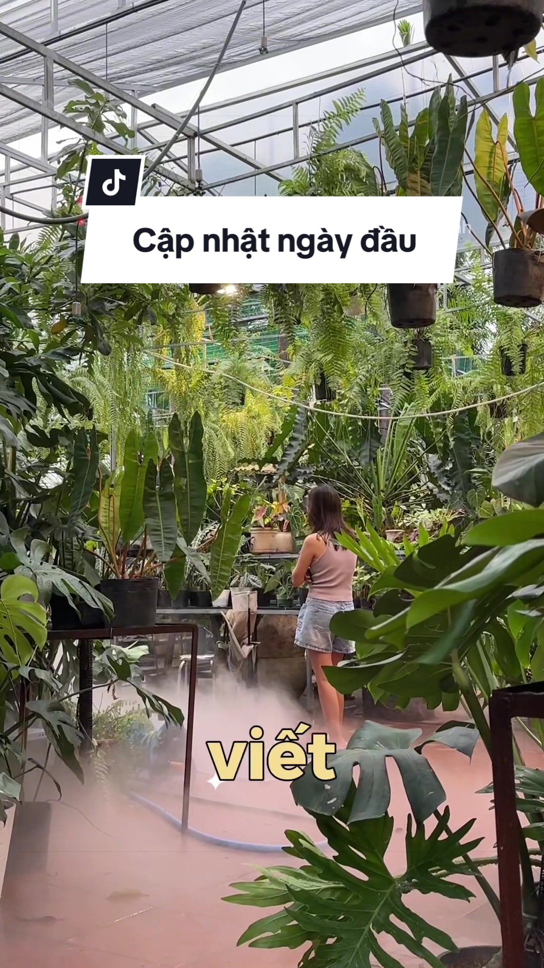 @Vuoncuakien