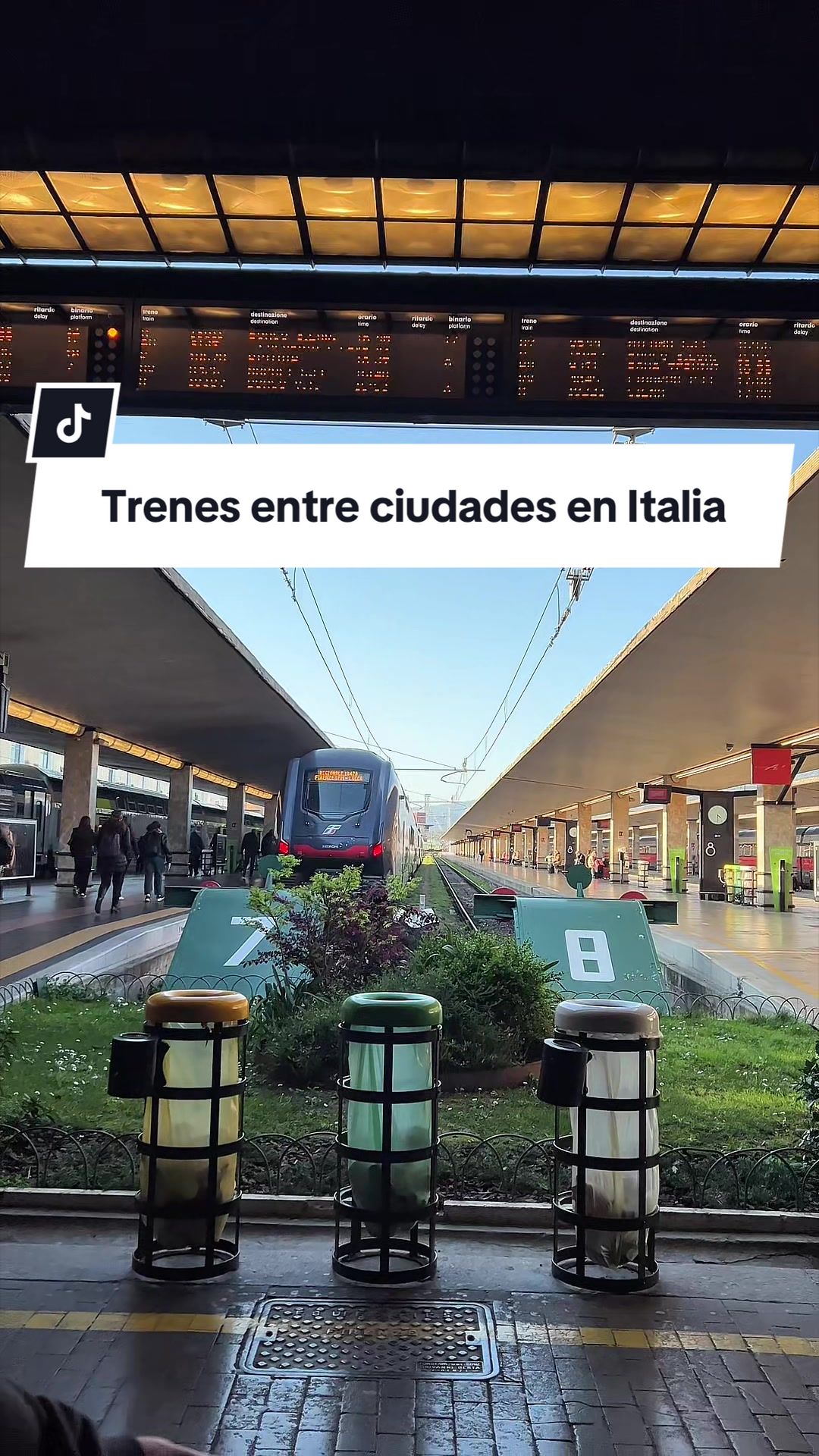@Cami | Travel & Work