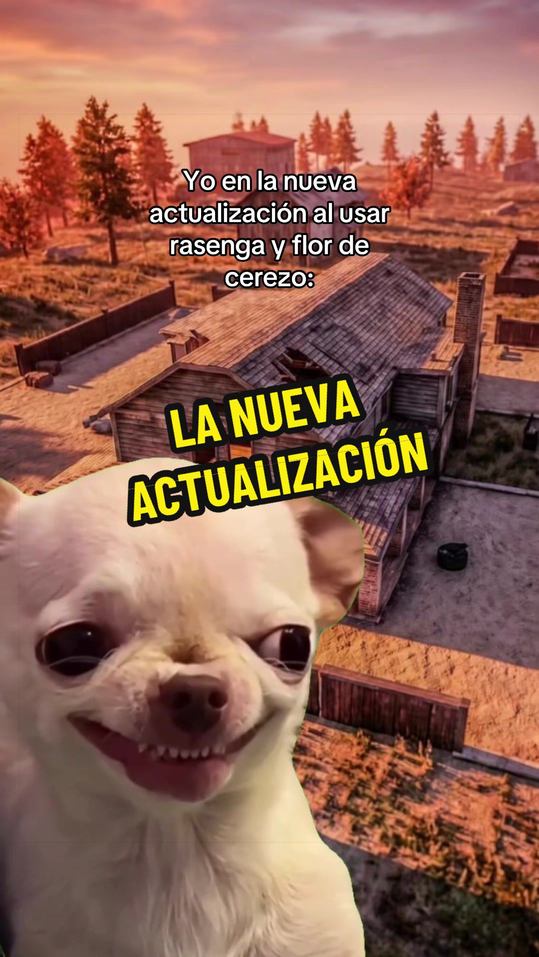 @Emy