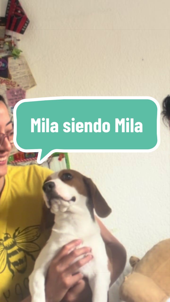 @Lu Molina
