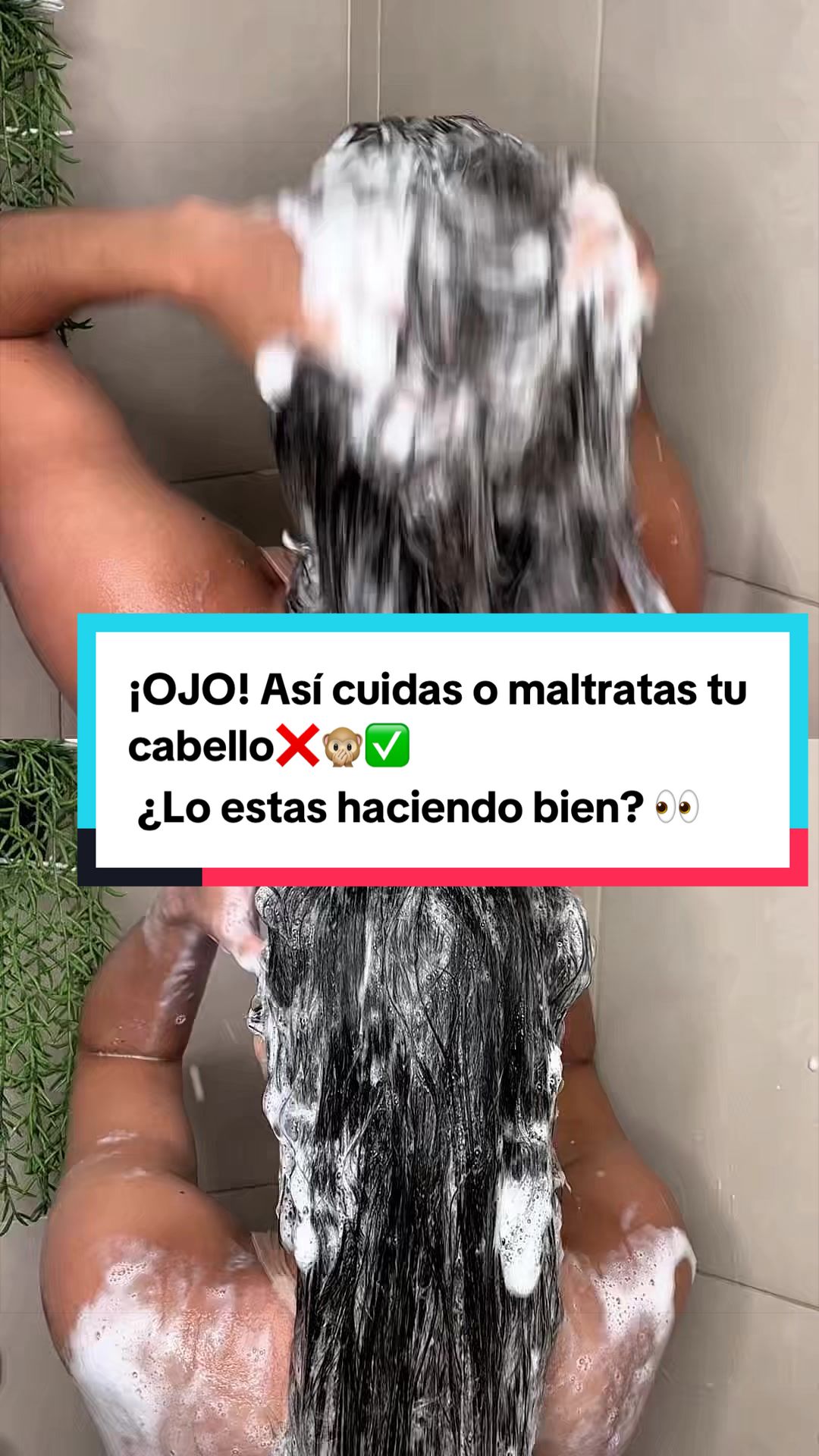 @Milagro_Milagros