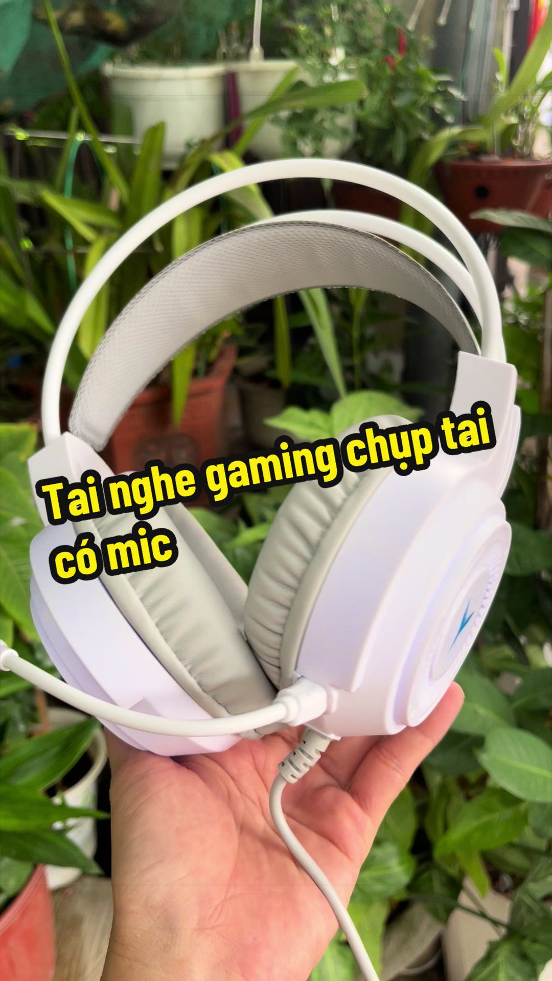 @Hạt Đậu Nhỏ ☘️