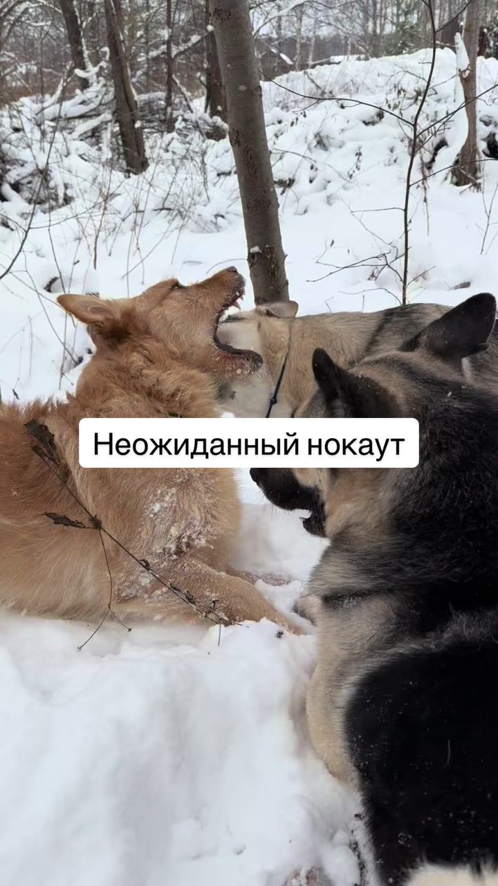@marochkinaelena