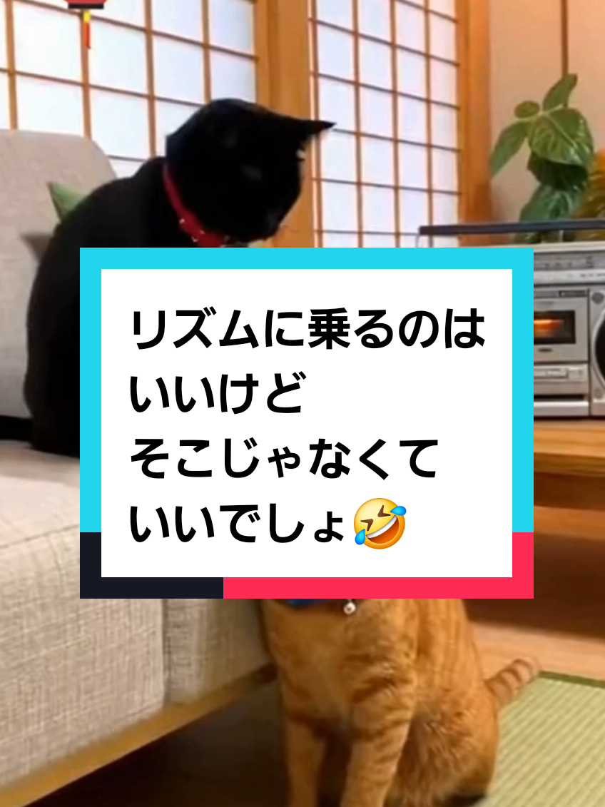 @AI動物園園長