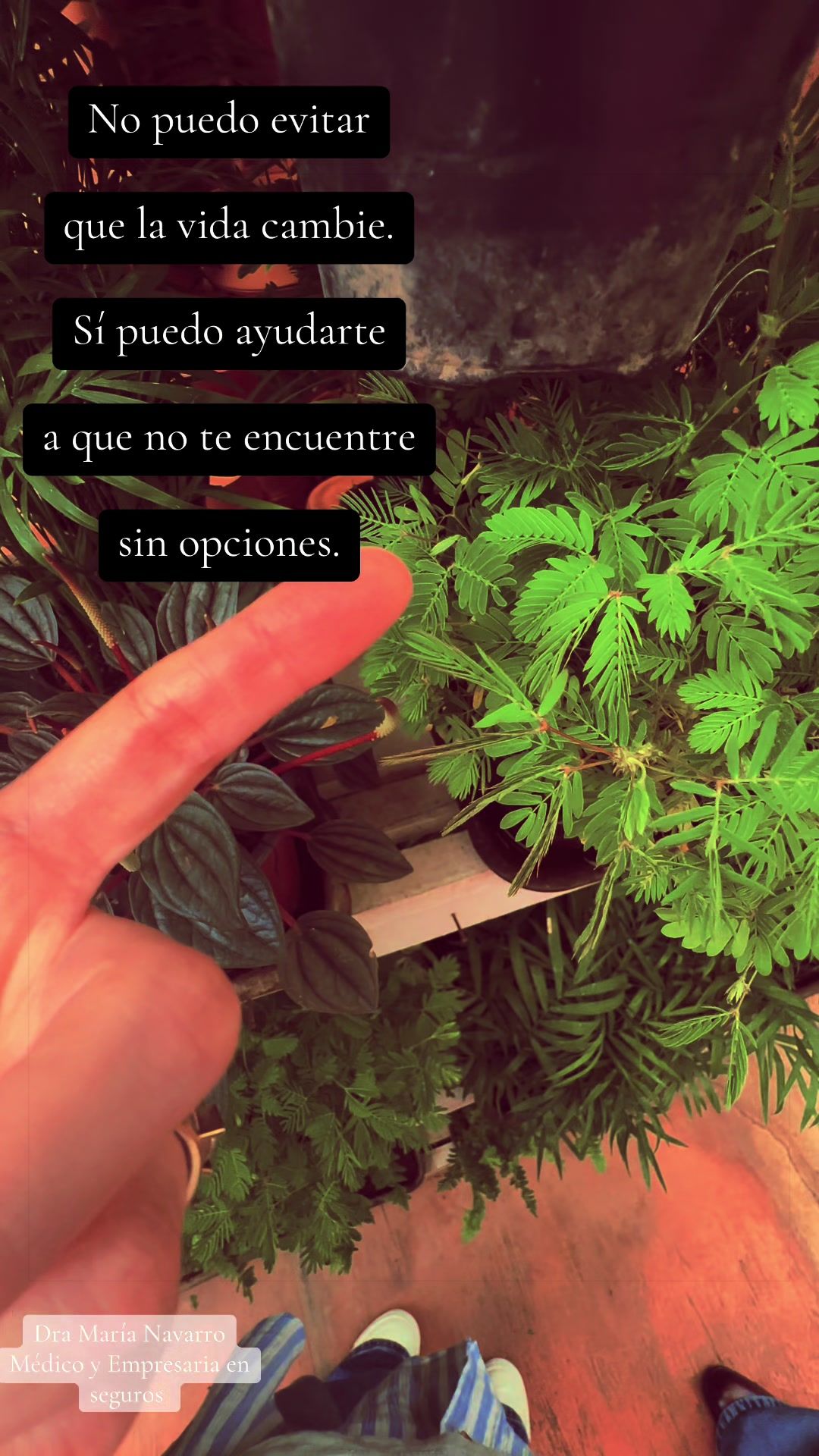 @DraMariaNavarro