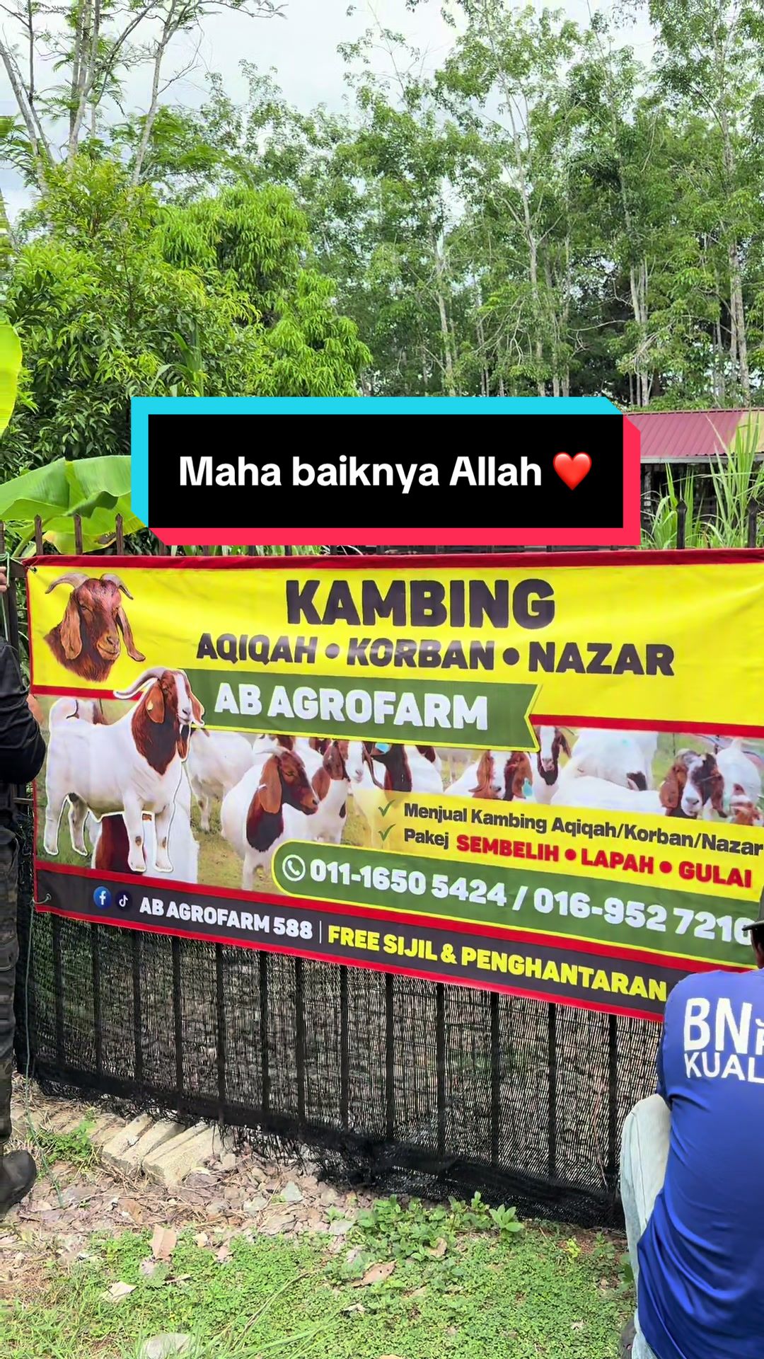 @AB Agrofarm 588
