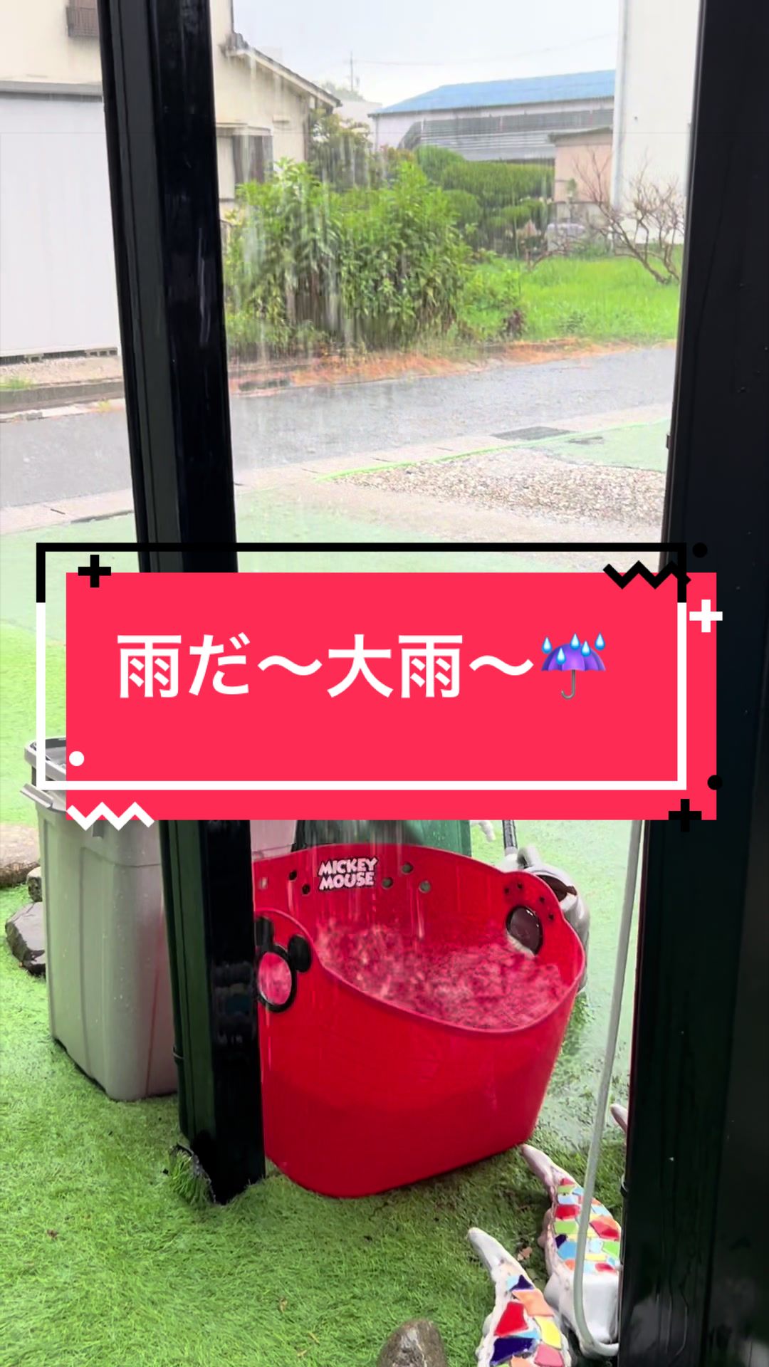 @カンキツ