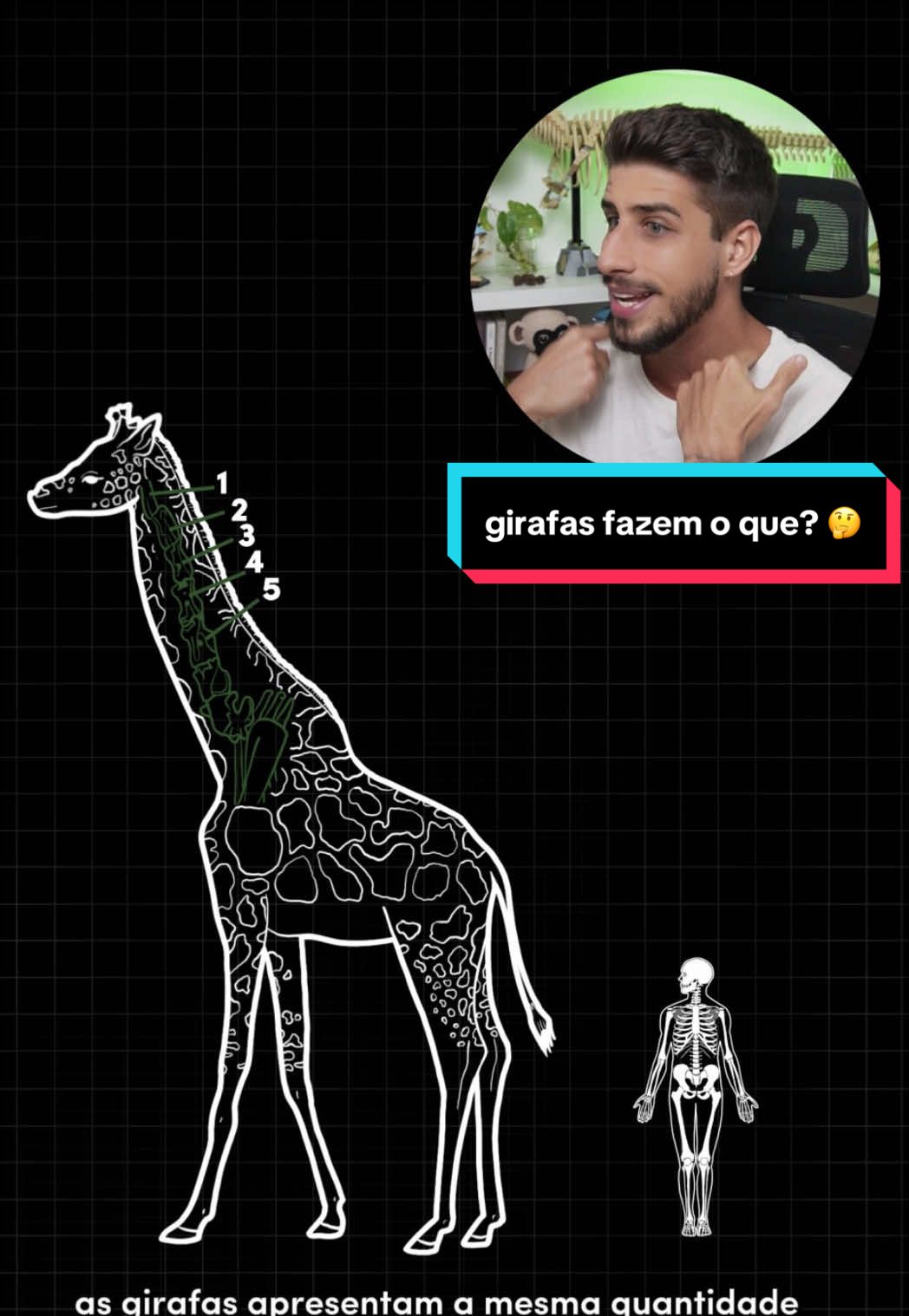 @Yago Stephano
