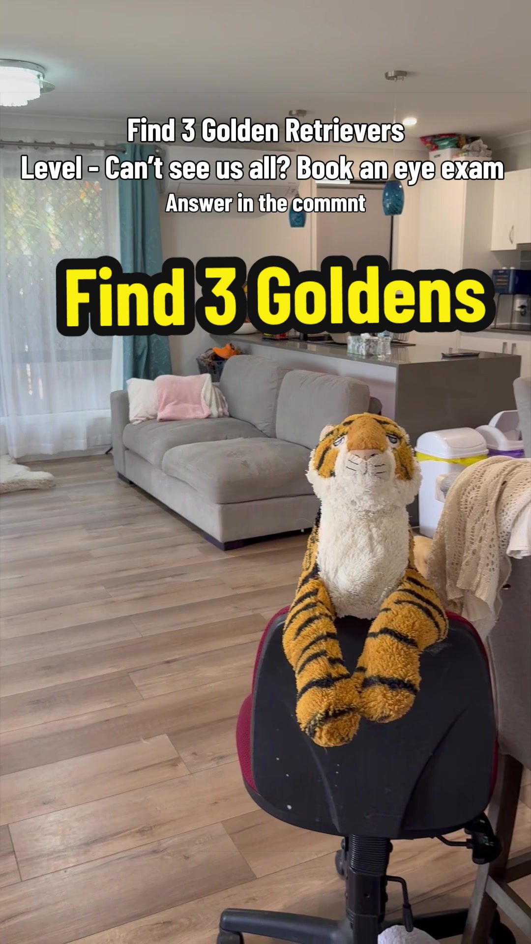@3goldenretriever