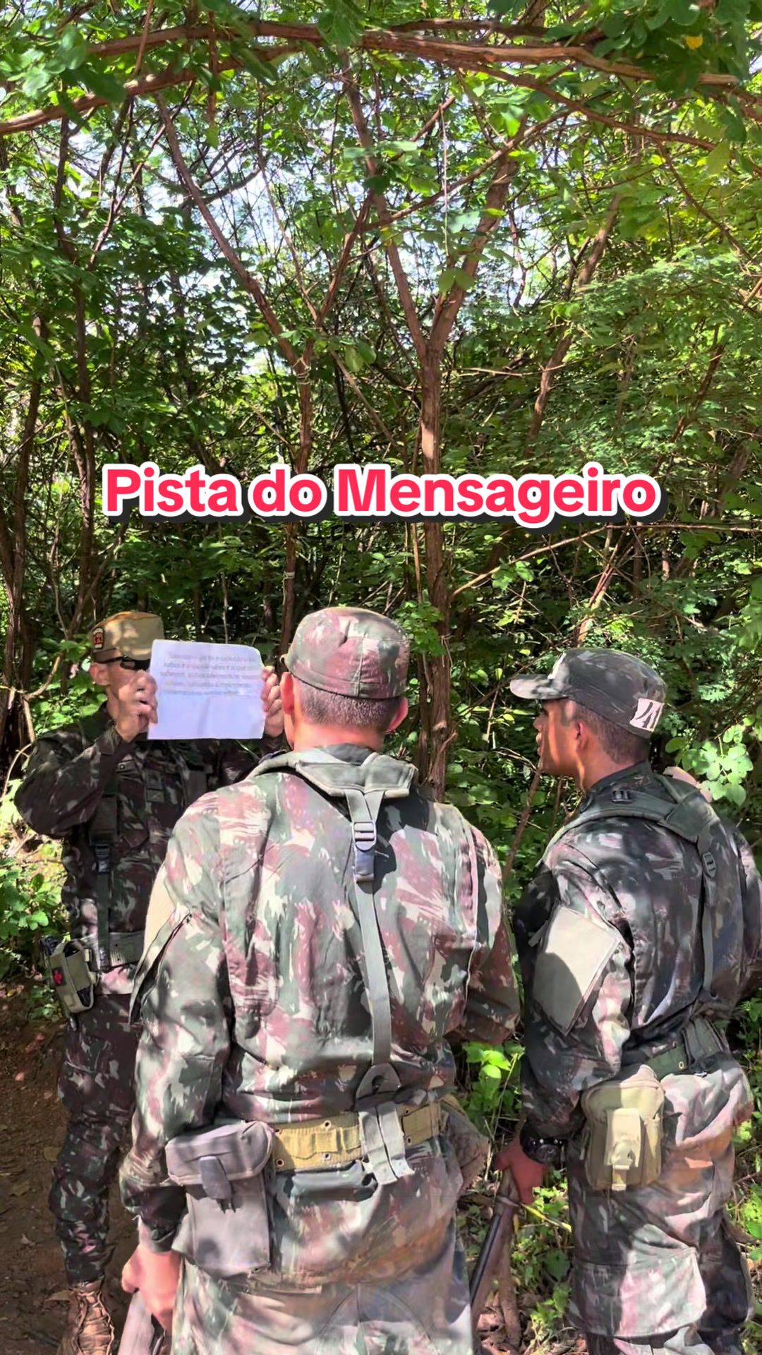 @Felipee_monteiroo