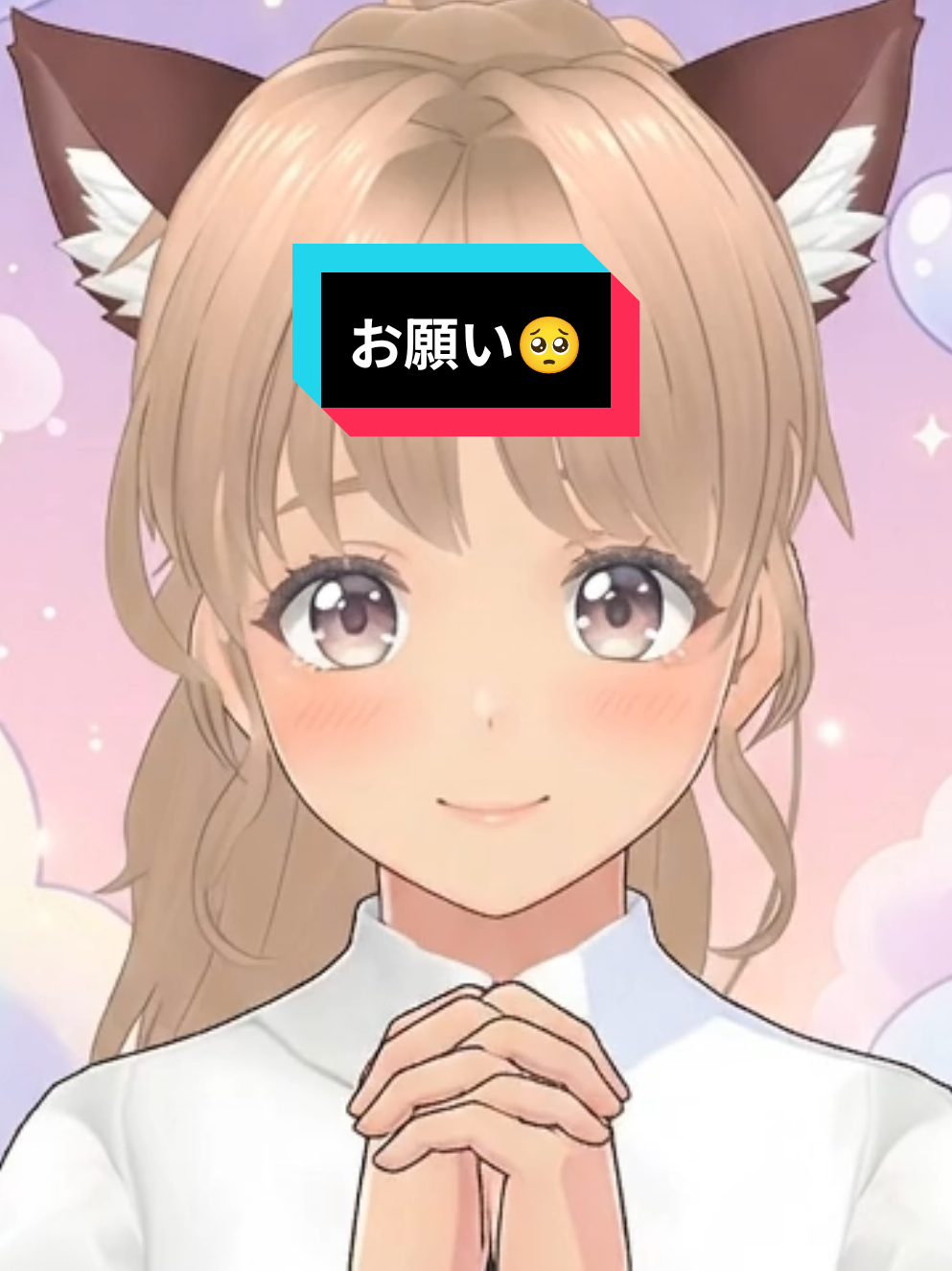 @ちわわん🐶✨