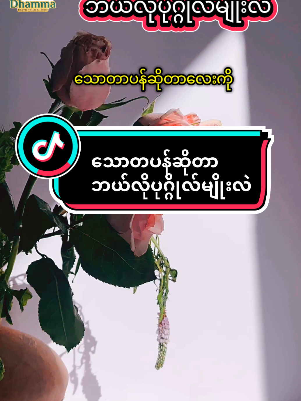 @๐๐๐ญ๐ฎ๐ซ๐ & ๐๐ก๐๐ฆ๐ฆ๐