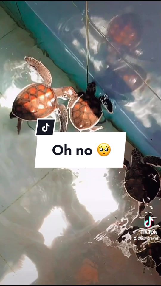 @kimtravel