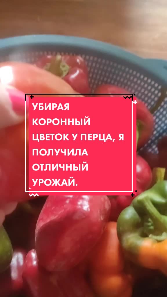 @Olga Svetlaya