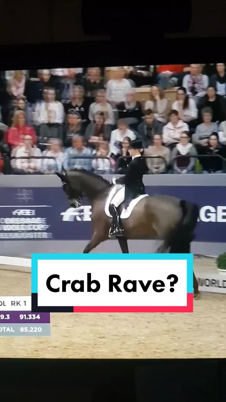 @Artline Dressage