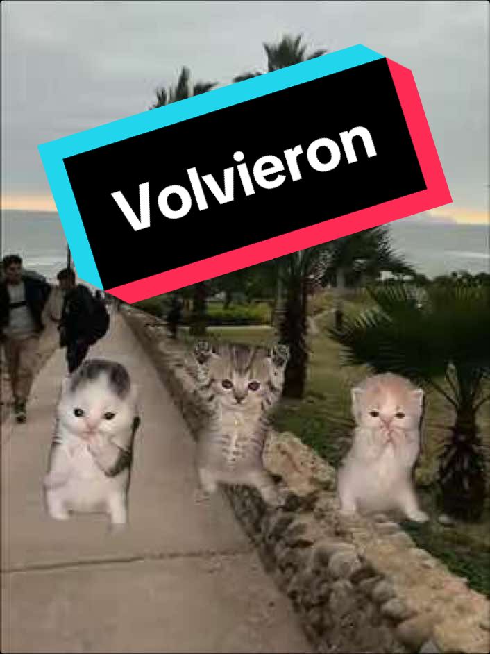 @jansonmania