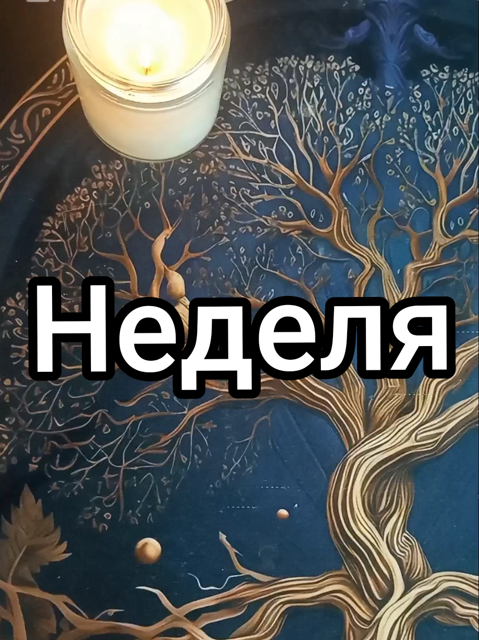 @Antanina Sever