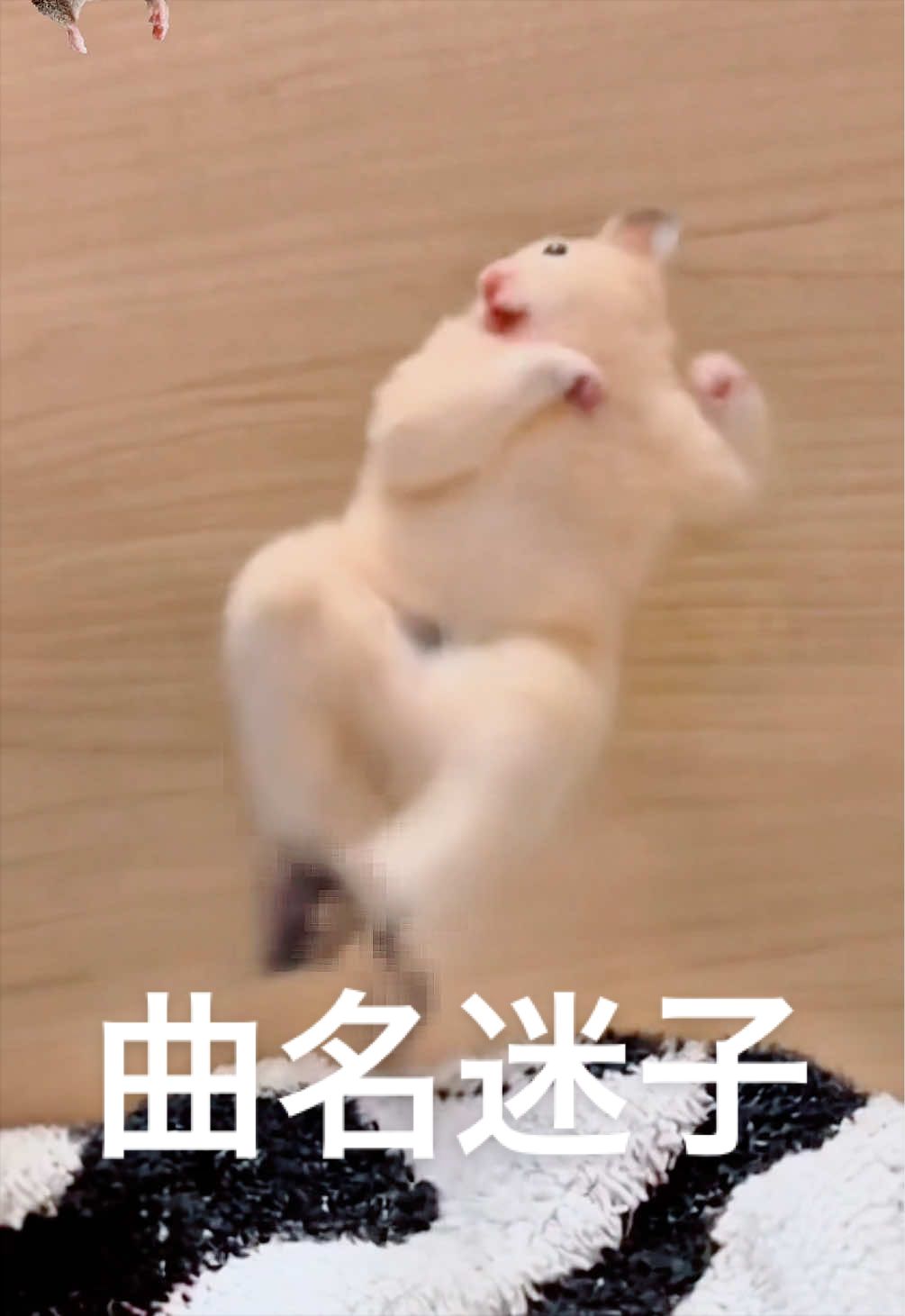 @FCham