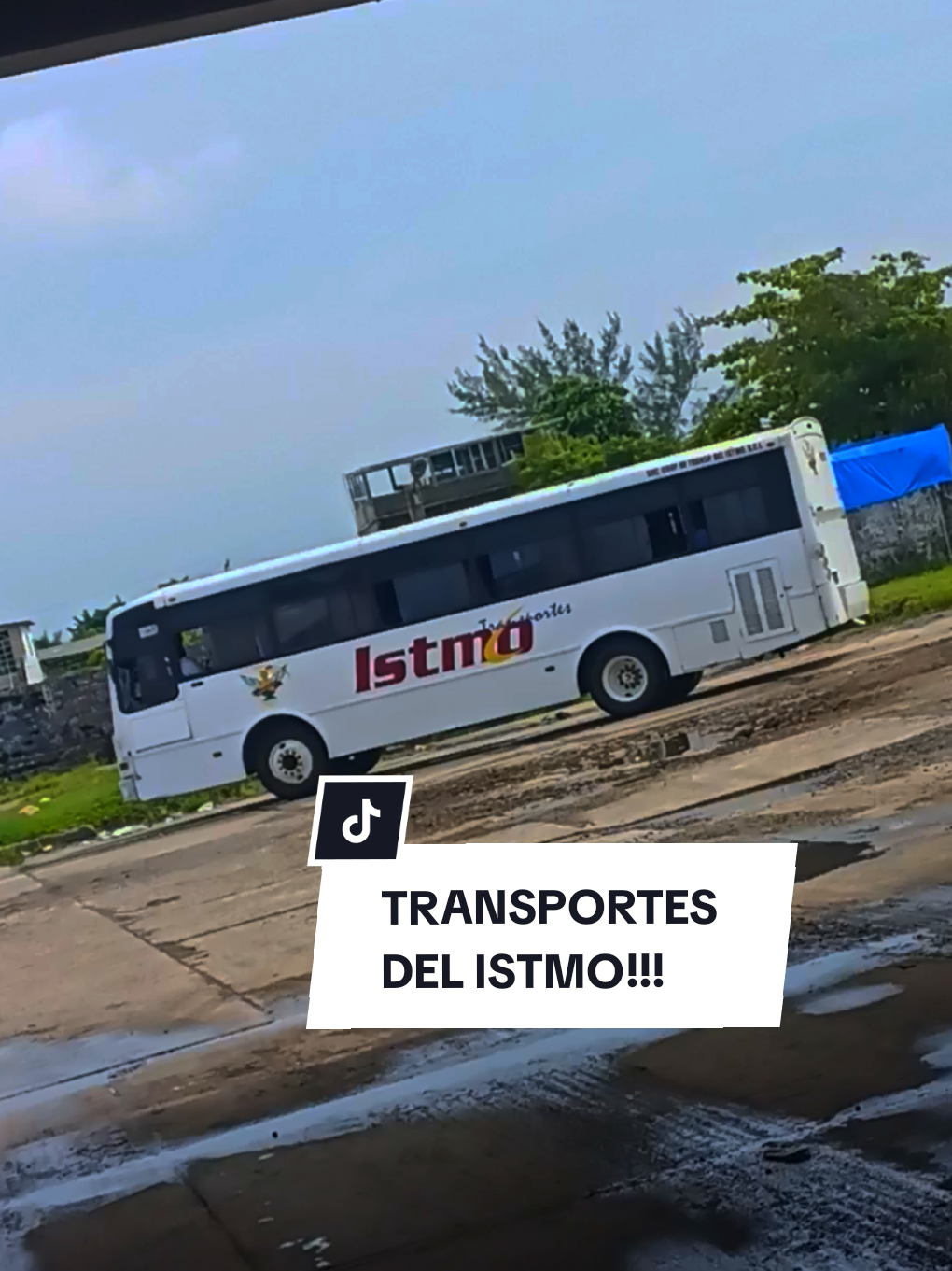 @Busologia Veracruzana 🍀🚍