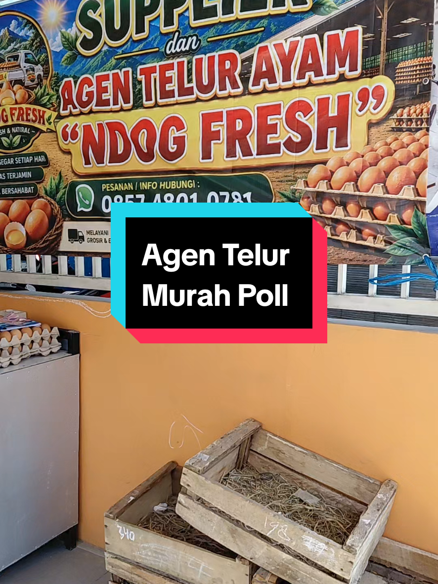 @Ndog Fresh