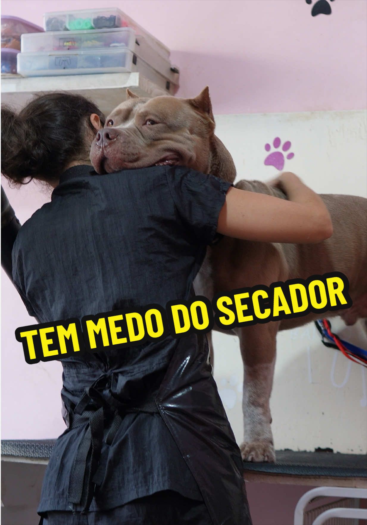 @Família Ragnar 🐶