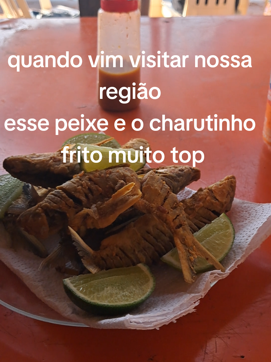 @Floresta de Areia