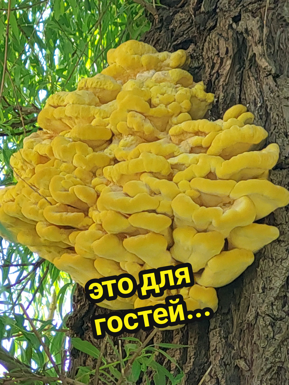 @Рыся✔️🇧🇾