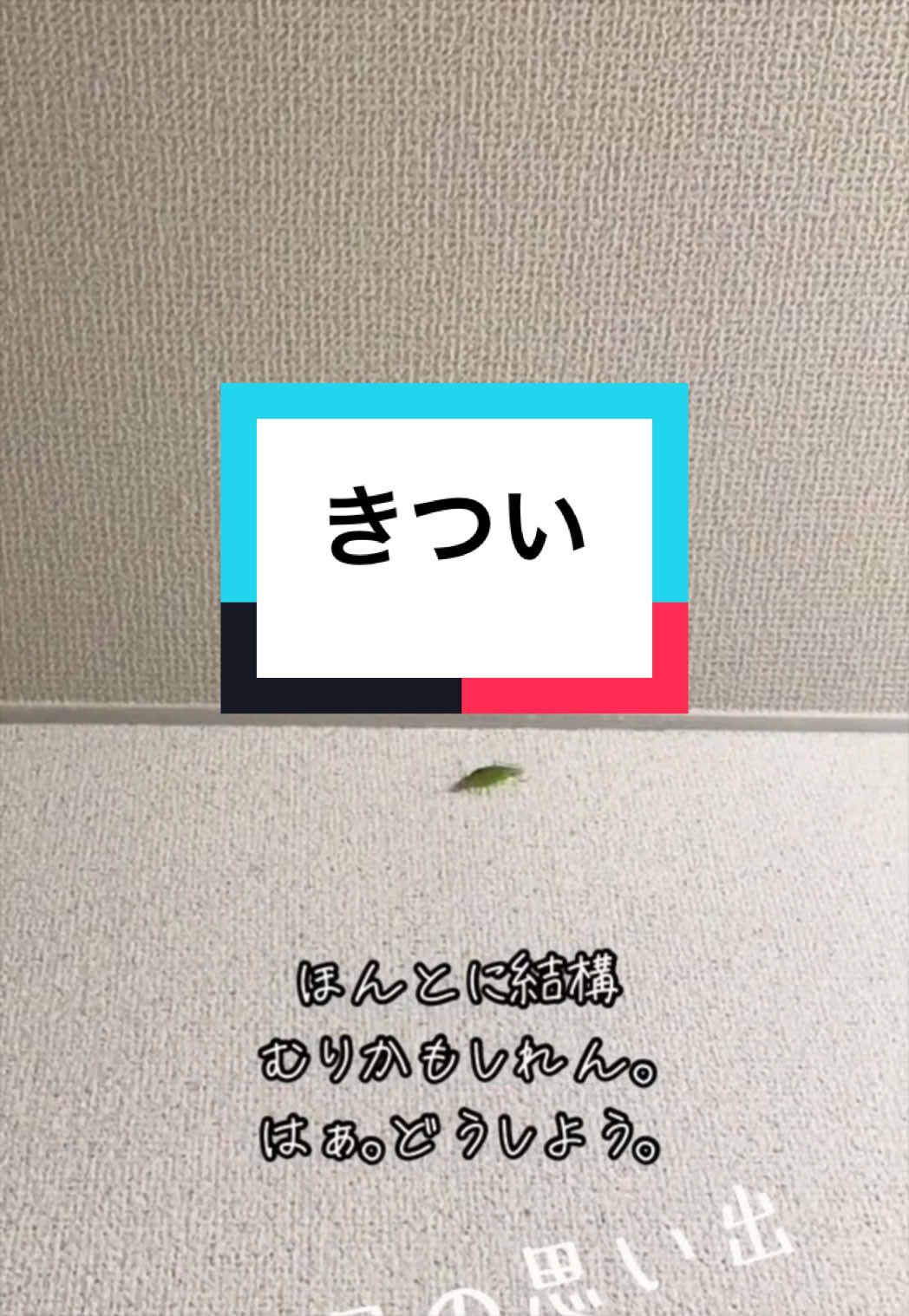 @10/12๐ไปๅฐใฎใกใ๐๐