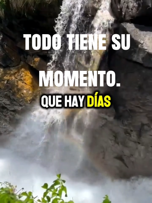 @Herminia Gonz&aacute;lez.