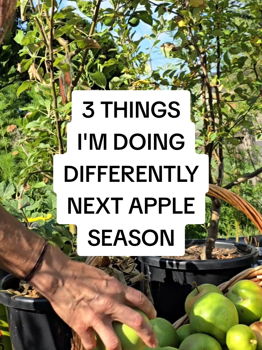 @busy chris gardening