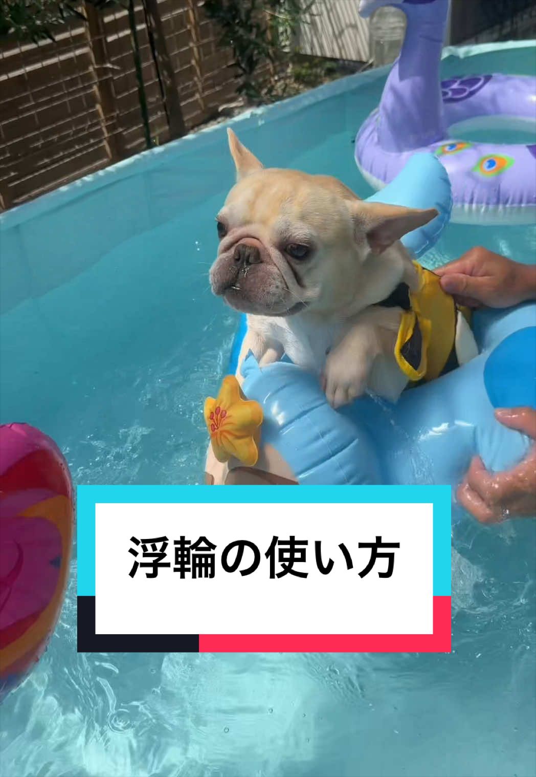 @🐶とん&ぺっぺこぺー🦊