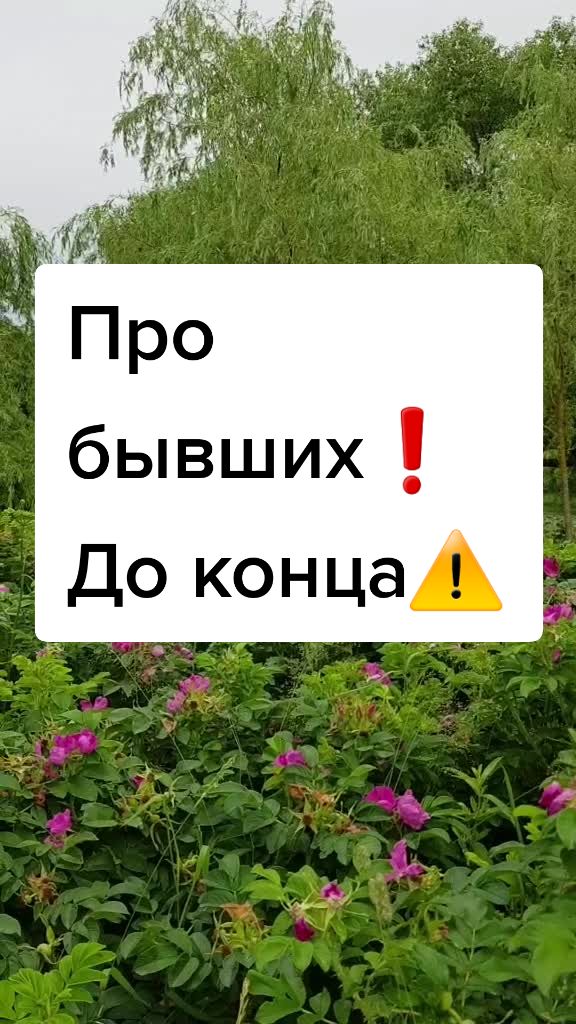 @Екатерина