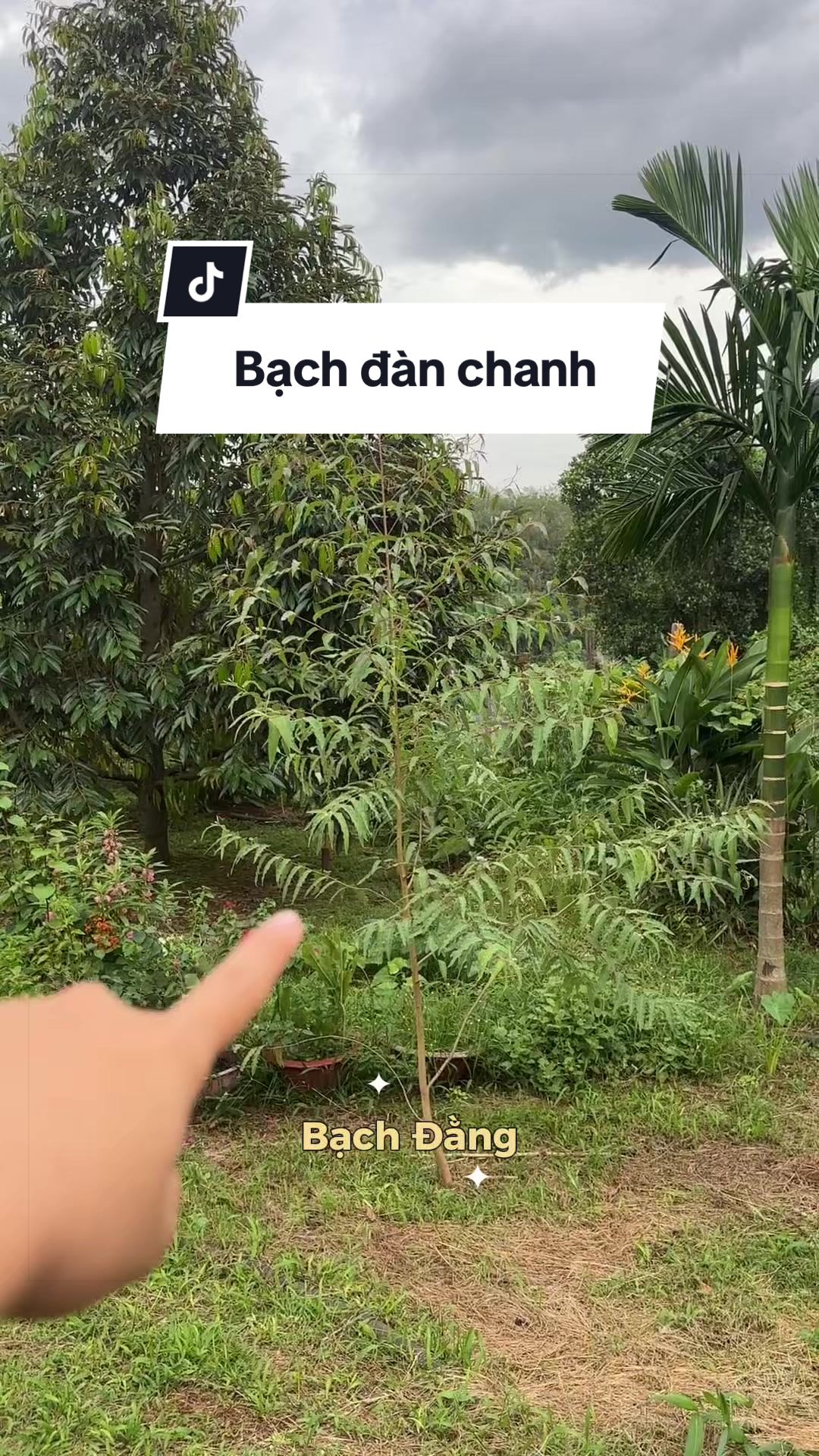 @Vuoncuakien