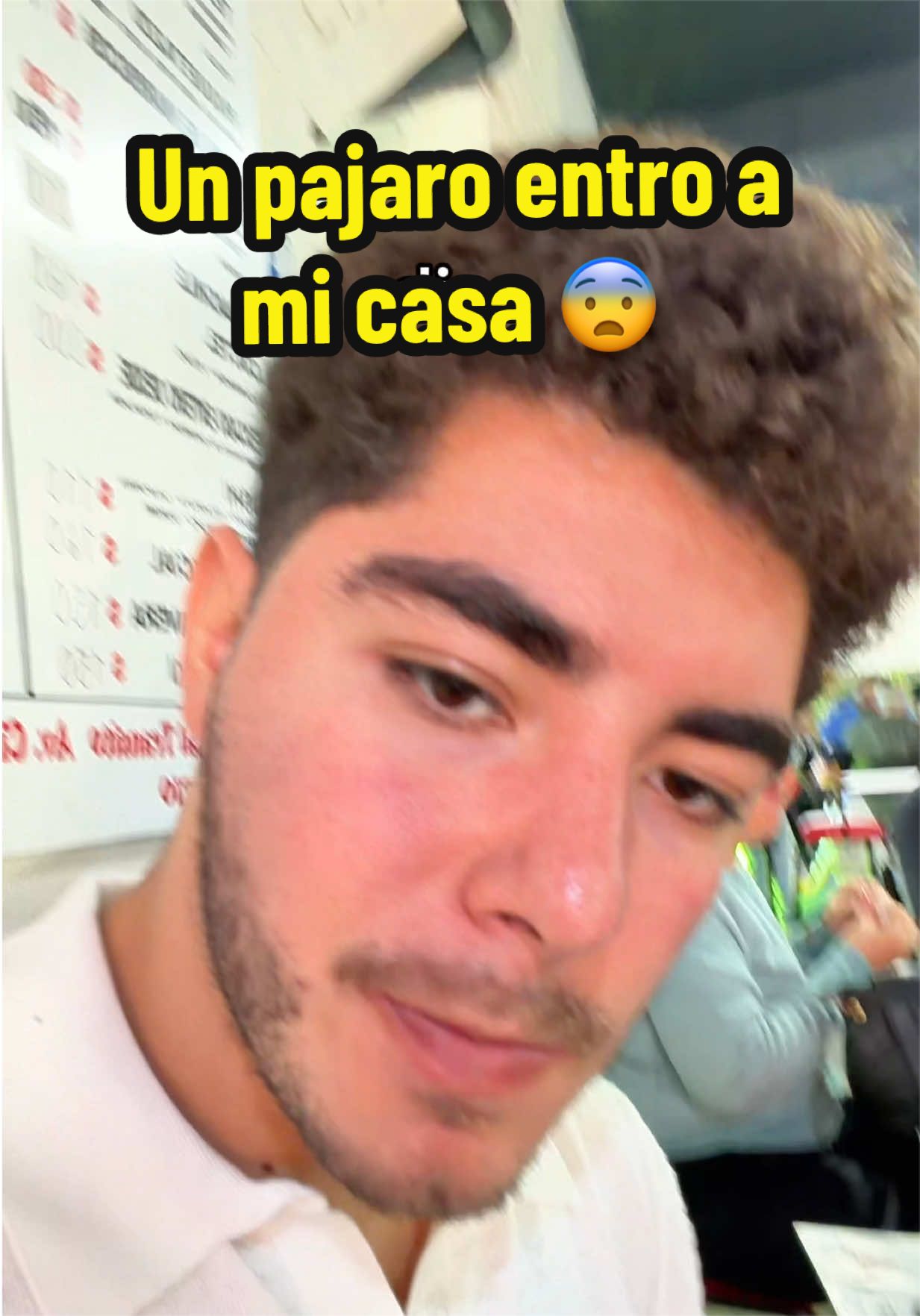 @Donovan Estrada ✨