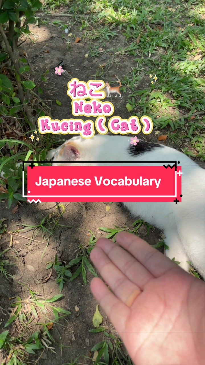 @Shanti | Self-Learn Japanese