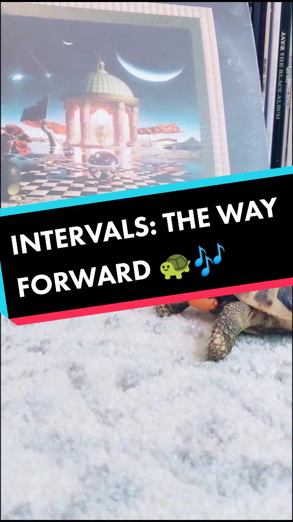 @TurntableTortoise