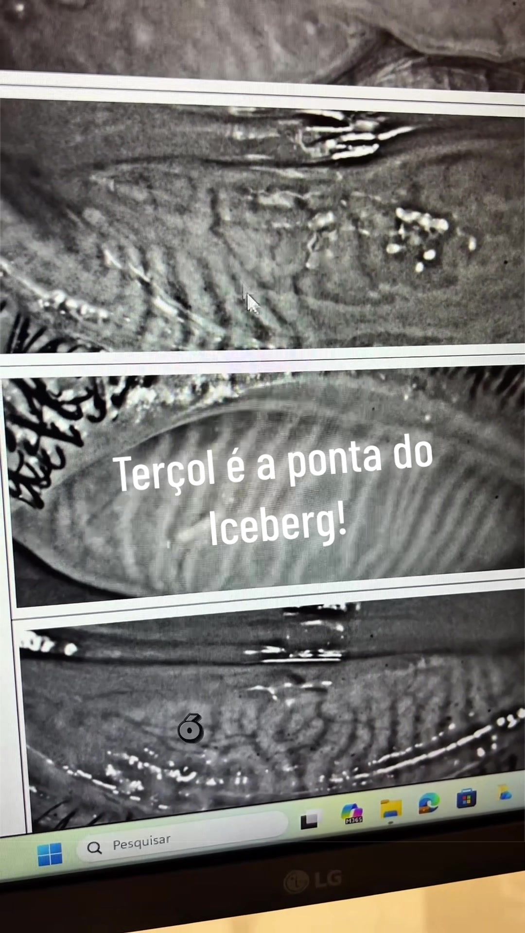@Dra.&ensp;Camilla&ensp;Totti