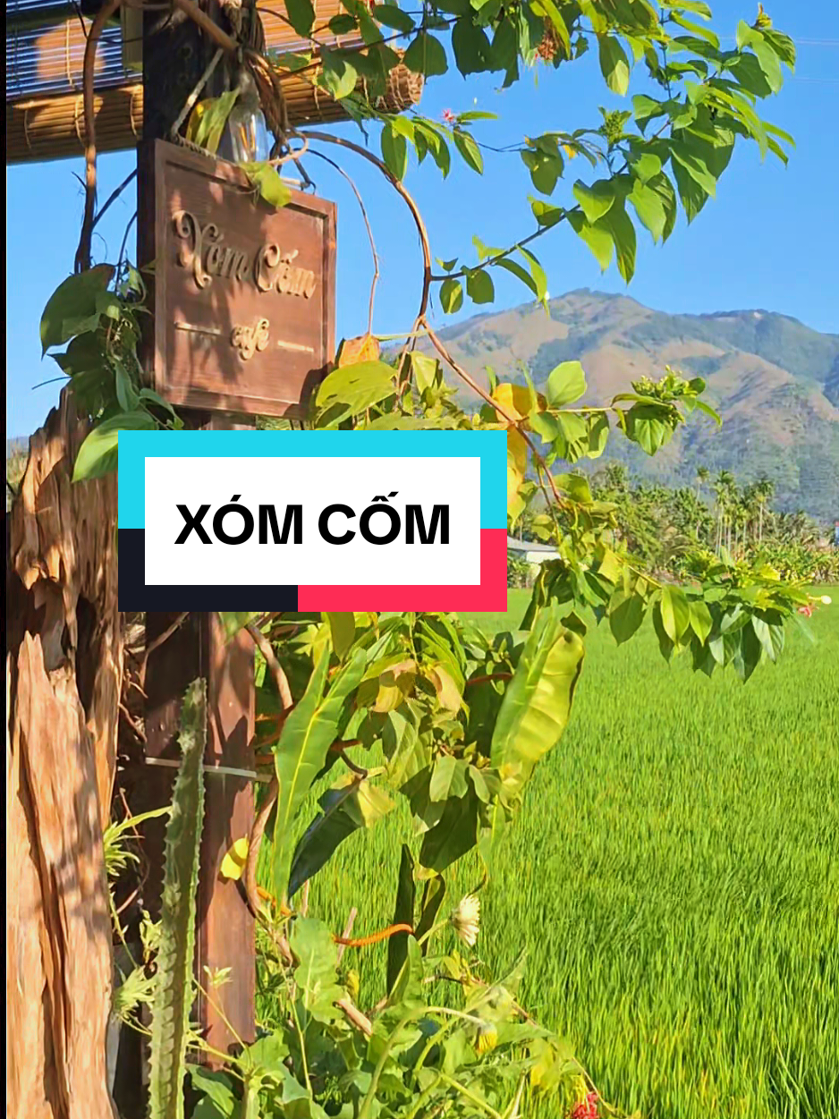@Tin Võ ( Senia Nha Trang)