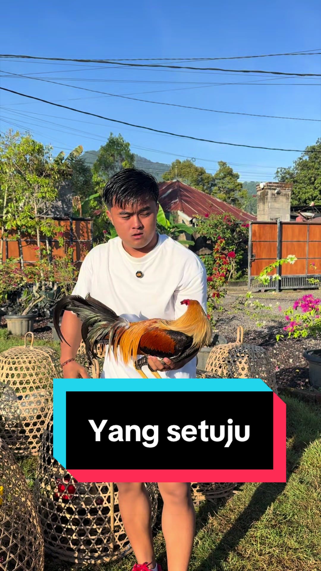 @Doni artawan