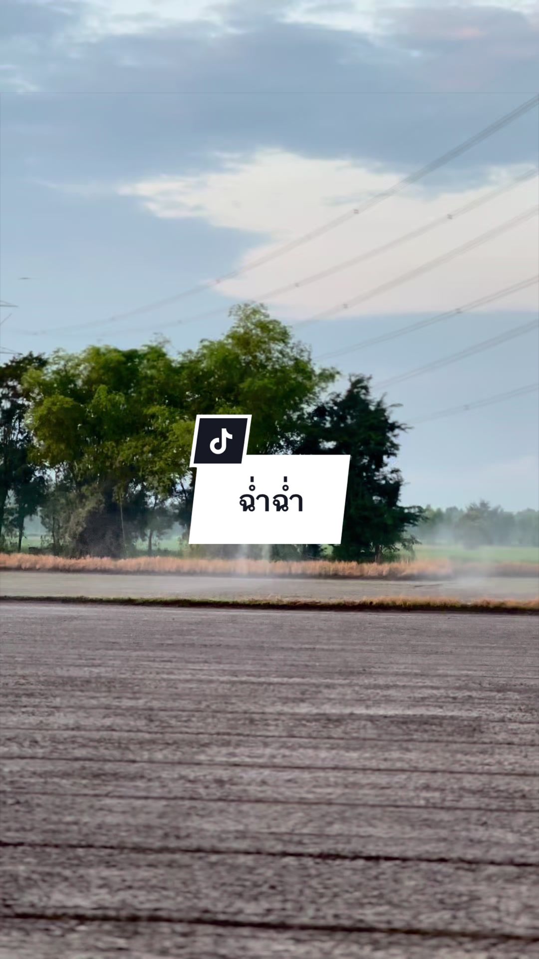@อาเฮียหลี อาหลีเฮีย
