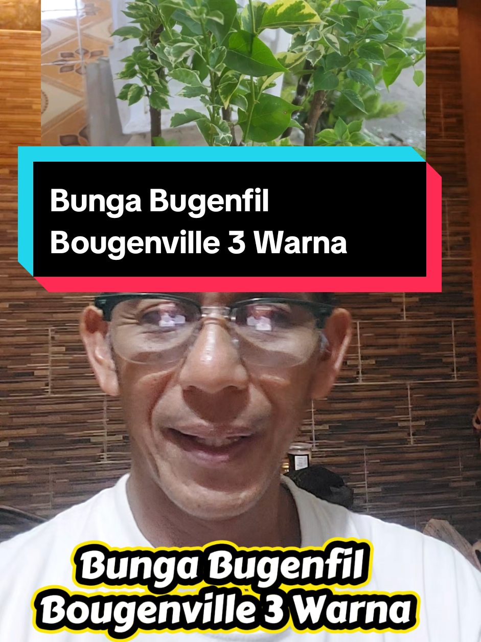 @De Sunggau