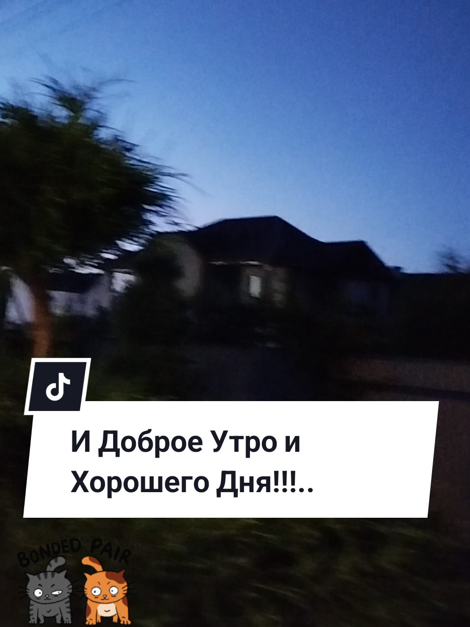@IRINA