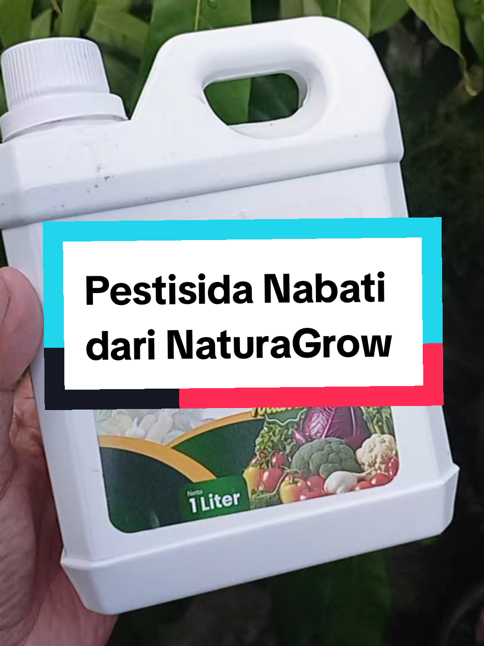 @Berkebun Berkah